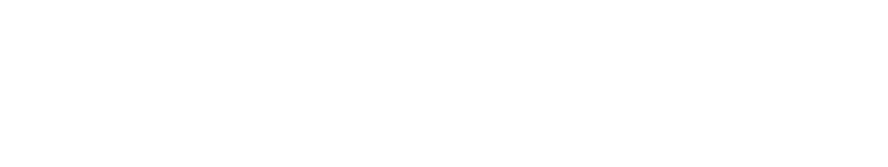 Flatiron Institute
